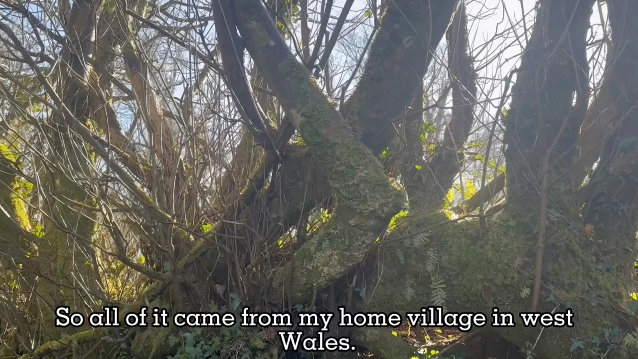 Build a Welsh Lobsterpot Chair with Chris Williams - Image 9