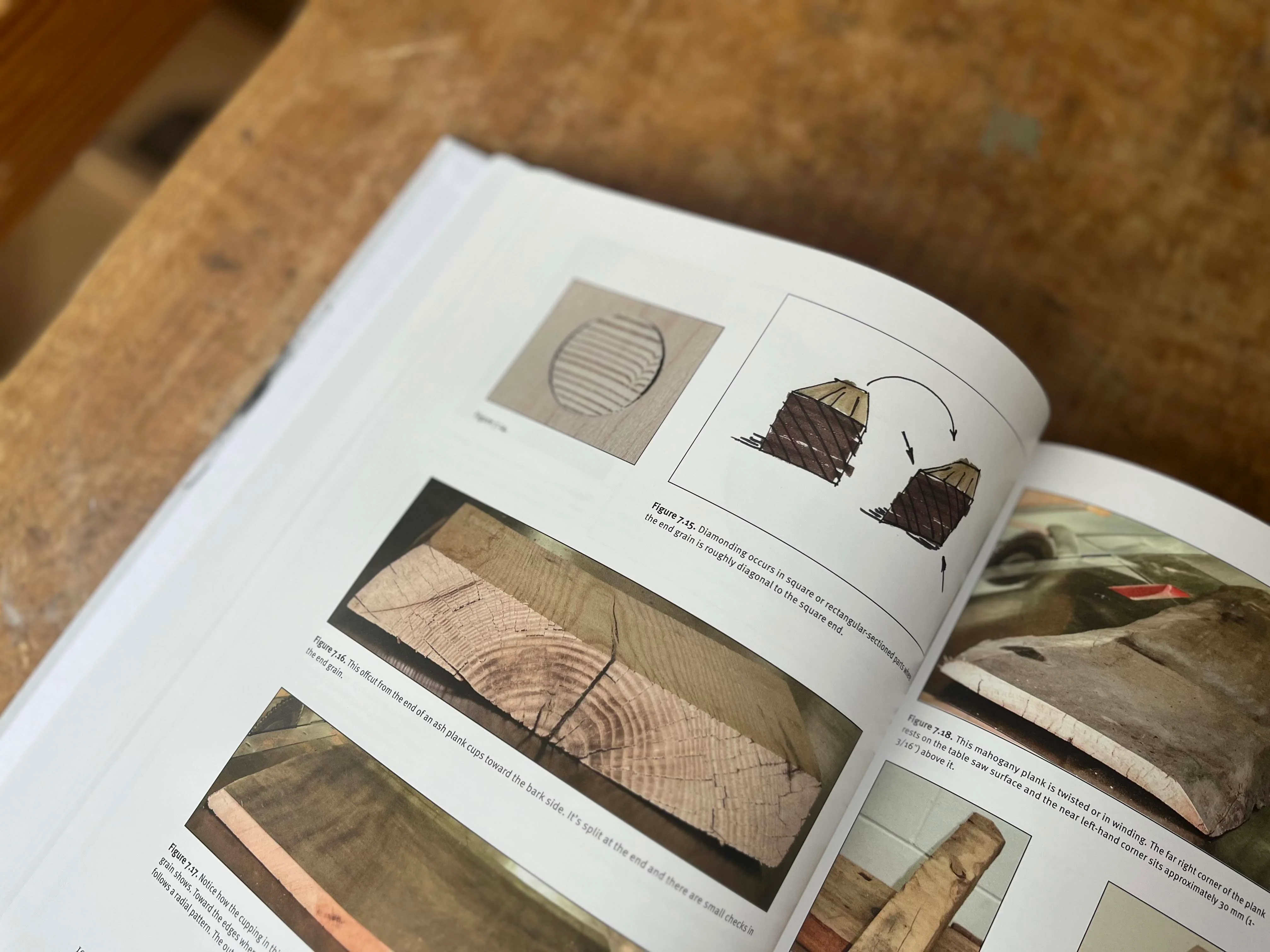 Cut & Dried: A Woodworker's Guide to Timber Technology - Image 3