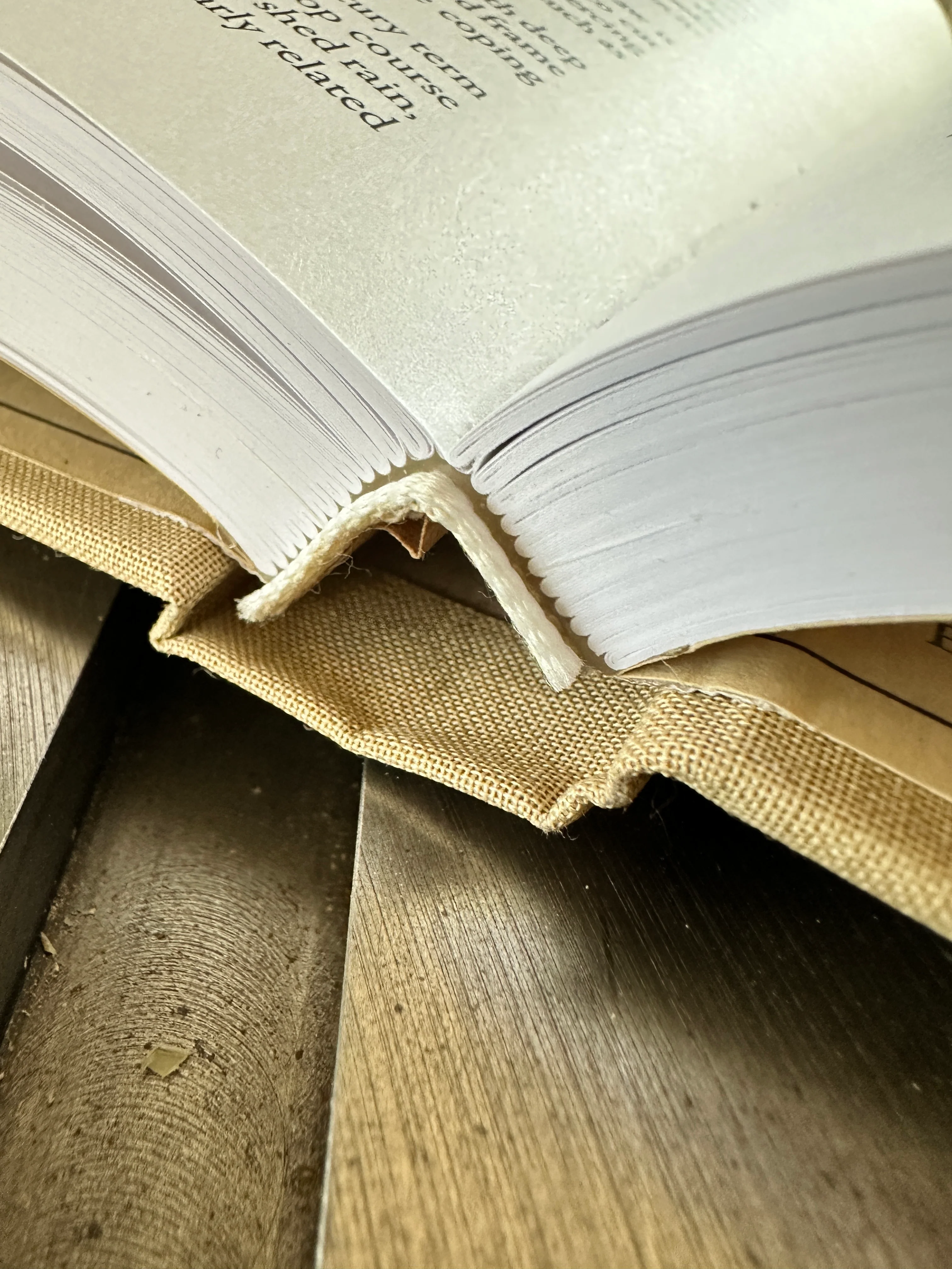 The Anarchist’s Trilogy - Image 3