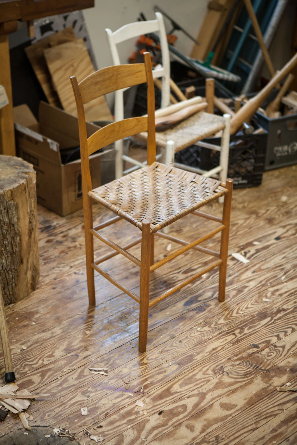 Video: Make a Chair from a Tree - Image 4