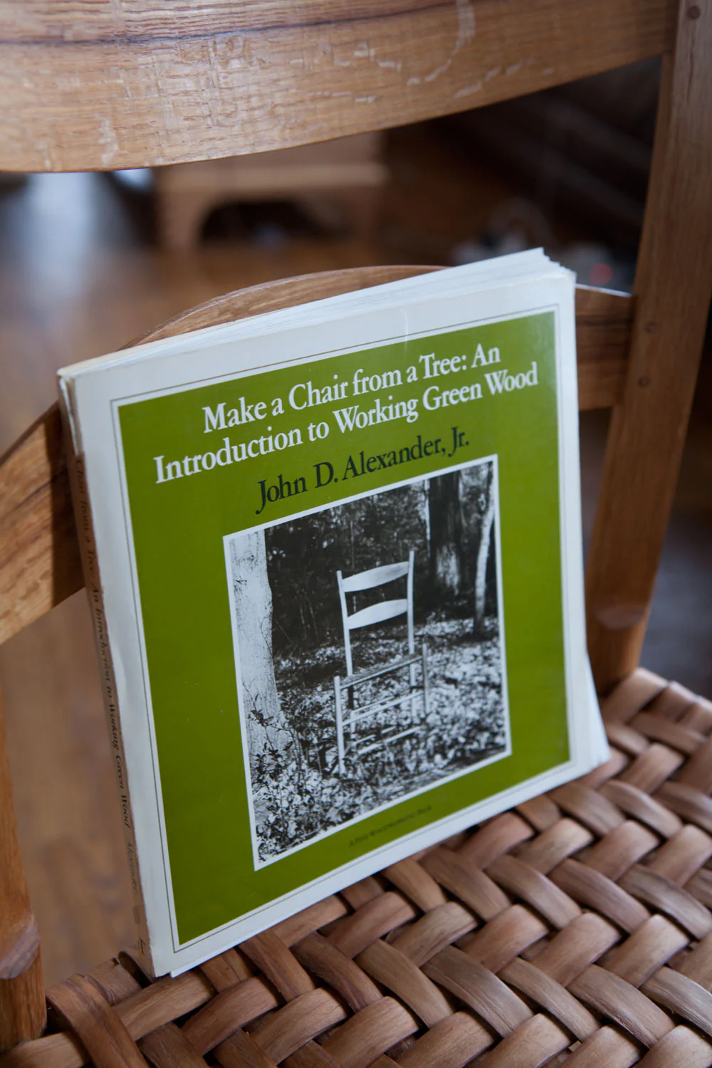 Video: Make a Chair from a Tree - Image 5